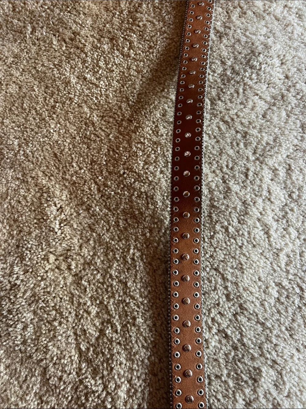 Blazin Roxx Pink Western Belt with Ornate Silver Buckle and Rhinestone Accents.